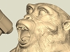 三猿-叫ぶ猿5.jpg